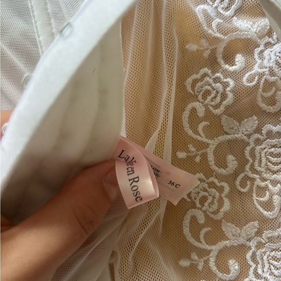 Beautiful White and Light Blue Sheer Bustier Top with Lace Details - Picture 4 of 4